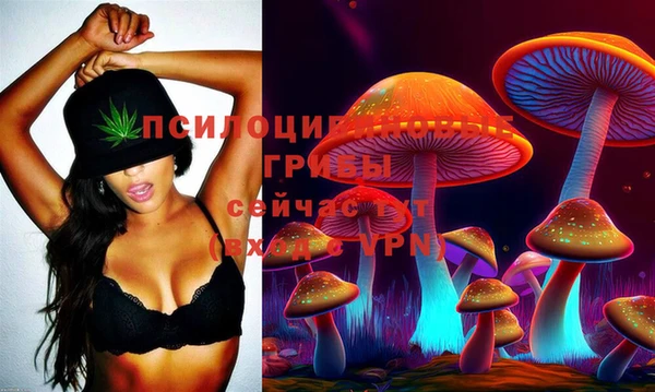 прущие крисы Вяземский