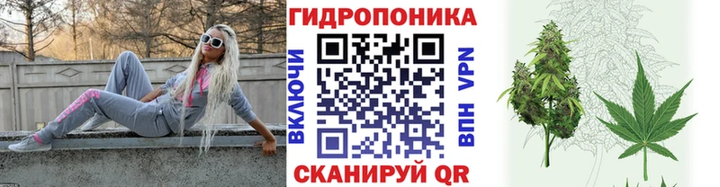 что такое наркотик  Весьегонск  Бошки марихуана THC 21% 